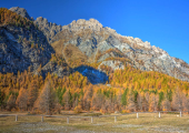 Valle Argentera