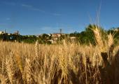 L'estate a Capriata d'Orba