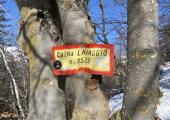 cartello Colma Lavaggio metri 1523