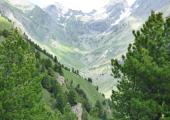 Ambiente montano, in primo piano verdi pini cembri tra radure, sullo sfondo vallone con sentiero e montagne innevate