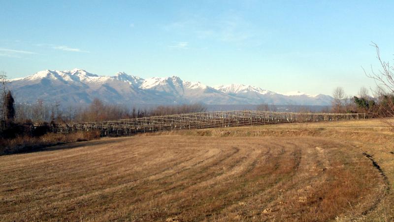 Panorama rurale con sullo sfondo la Serra di Ivrea e la Catena Alpina