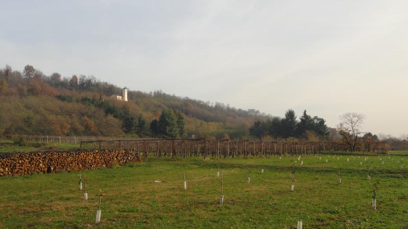 Panorama sulla collina di Villareggia