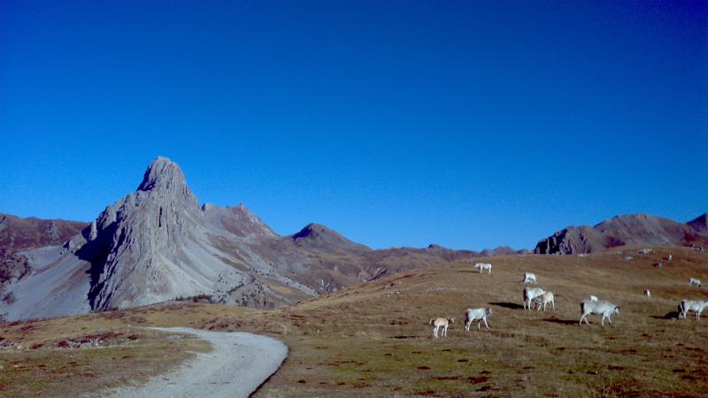 Panorama sull'altopiano della Gardetta e Rocca la Meja (2840 m)