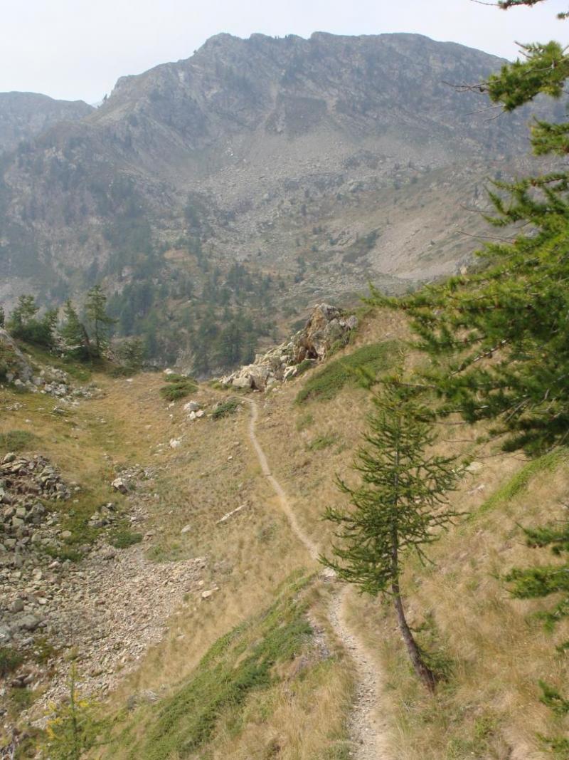 Sentiero tra Passo di Bravaria e Sant'Anna di Vinadio - Foto di Fabio Giannetti