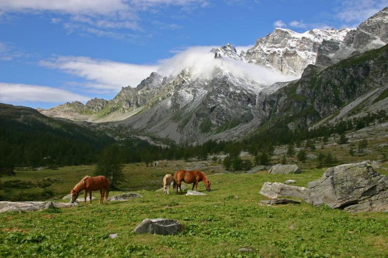 Val Buscagna, tra Alpe Veglia e Alpe Devero - foto di Paolo Pirocchi